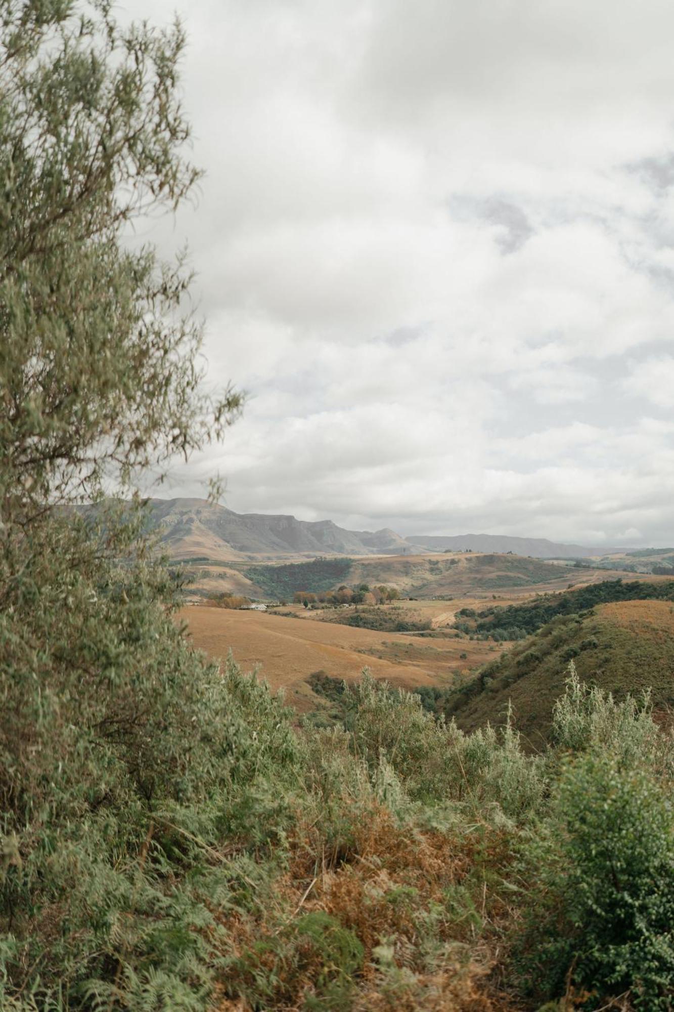Dragonview Lodge Champagne Valley Екстериор снимка